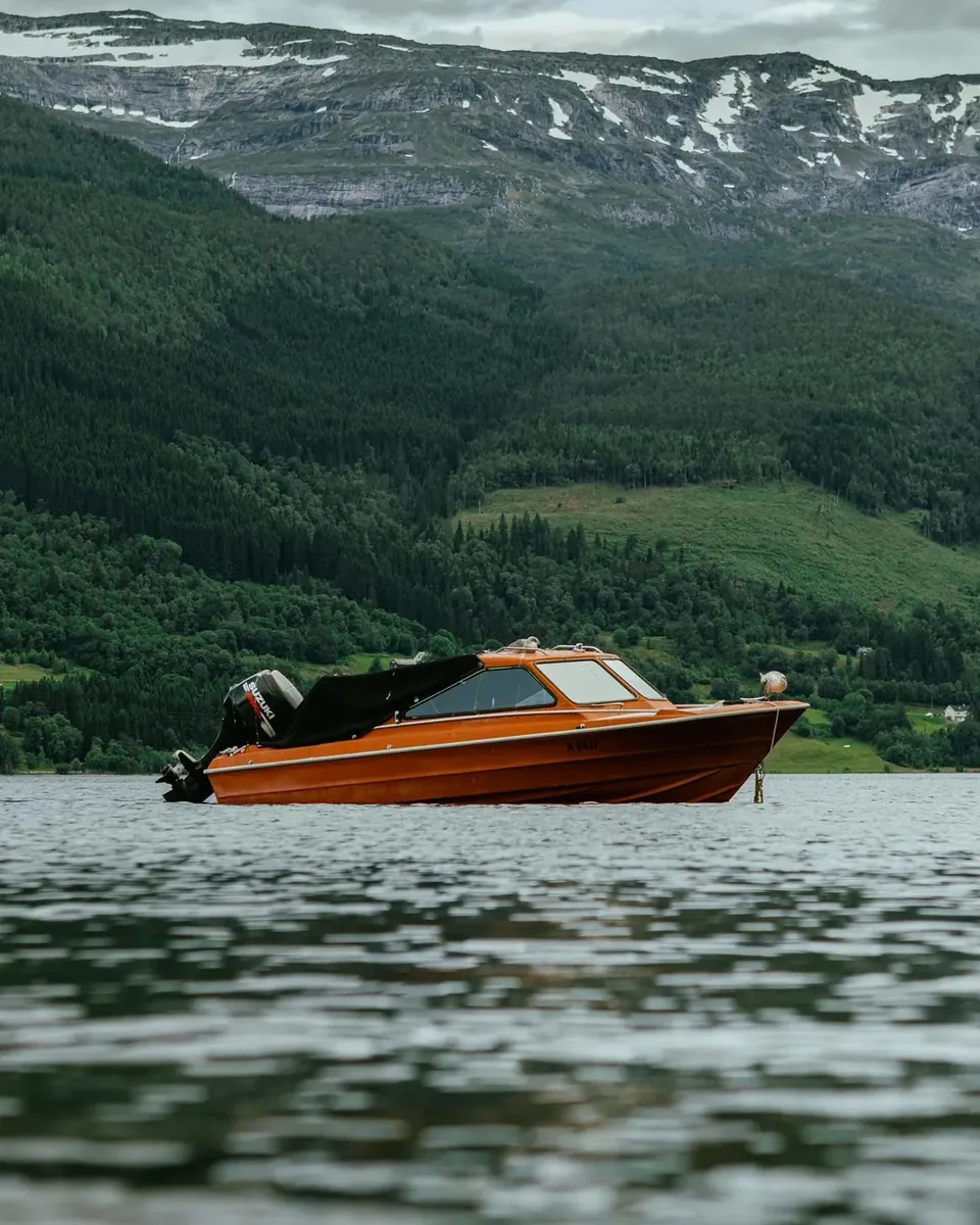 Orange tr&aelig;b&aring;d p&aring; fjord med skovkl&aelig;dte bjerge bagved